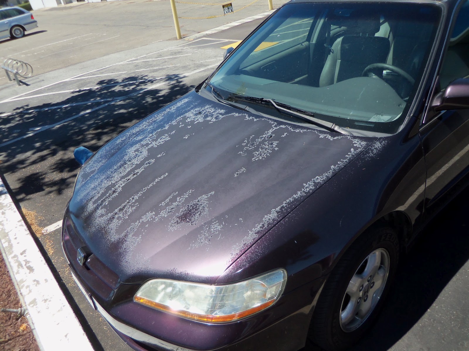 Washing Car After Paint Job Washing Car After Paint Job