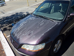 paint coat clear fading painting vehicles repair peeling collision before