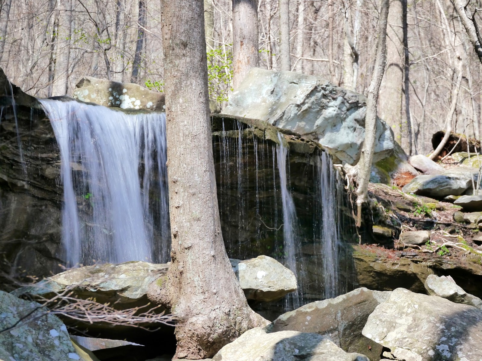 American Travel Journal DeBord Falls and Emory Gap Falls Frozen Head