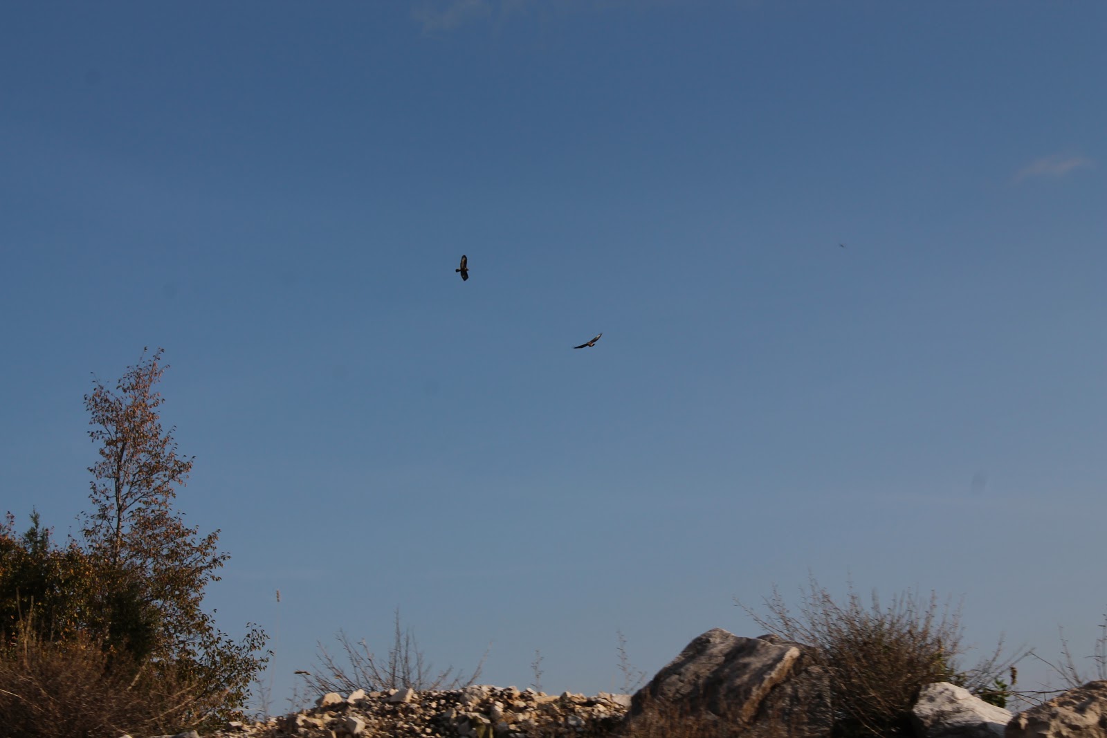 Emecik Günleri Datça�da EnaDiyoTriya Kuzey Yunanistan Bir Yol Hikayesi 3