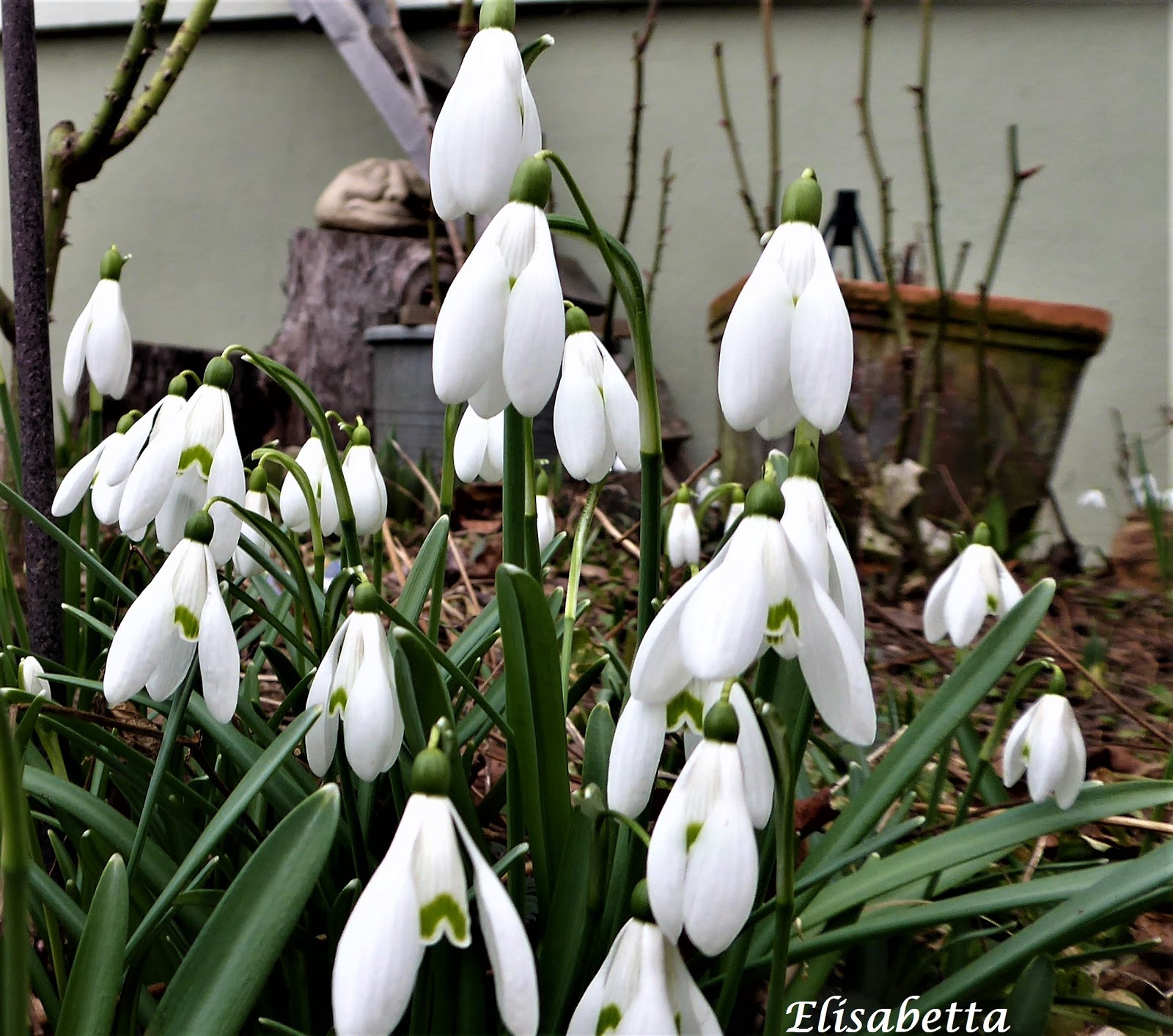 Morgen Ist Alles Anders Primavera Lente Fruhling Spring