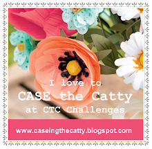 CASE-ing the Catty Challenge site