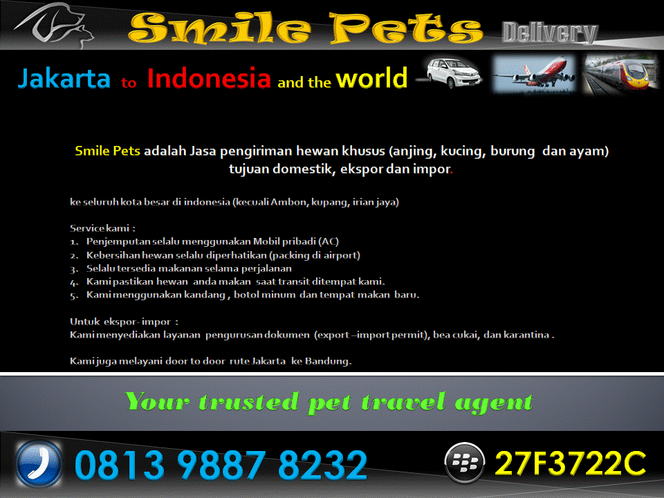 Smile Pets Delivery