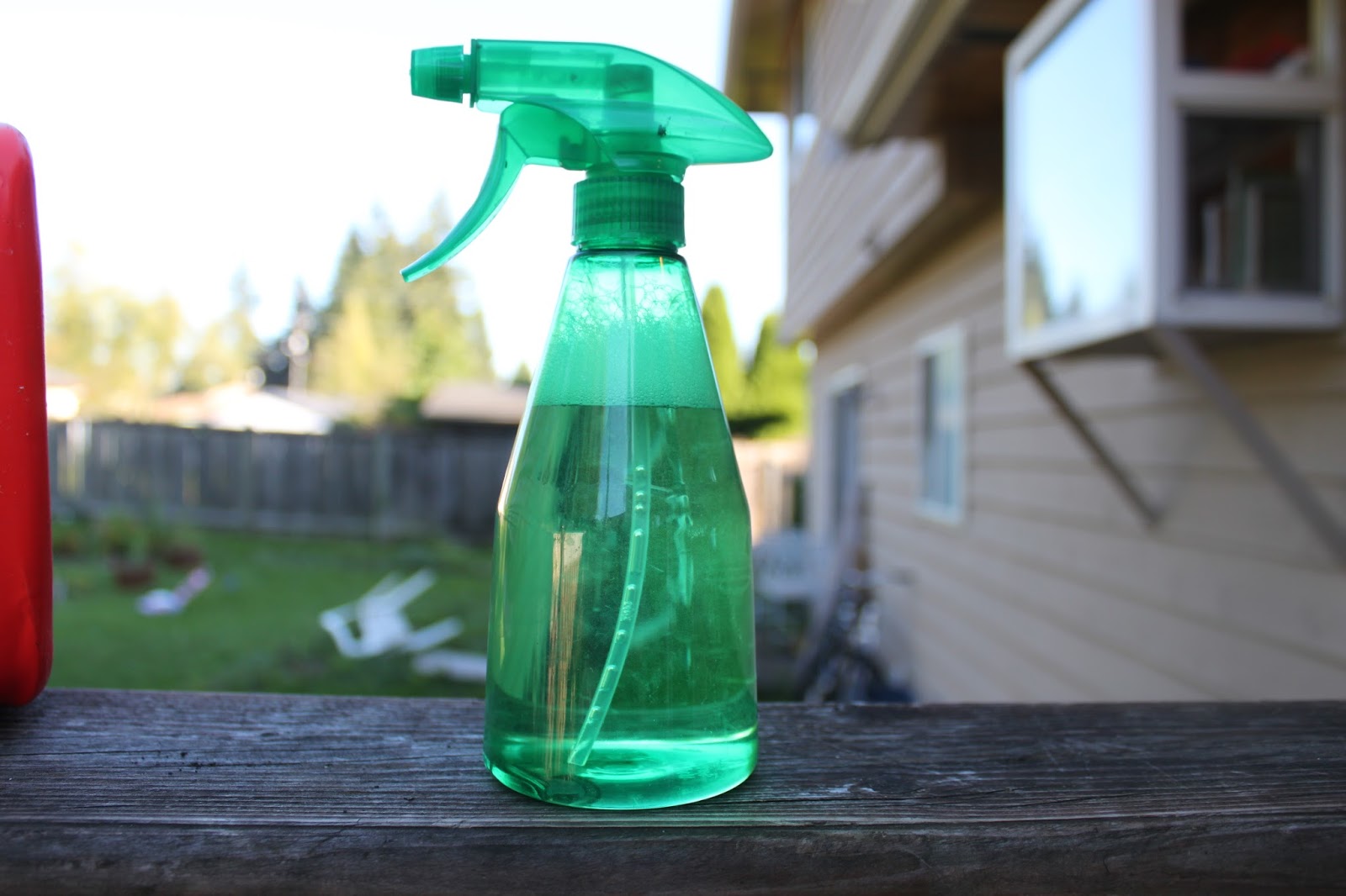 Autumn Evelyn Homemade Fungicide