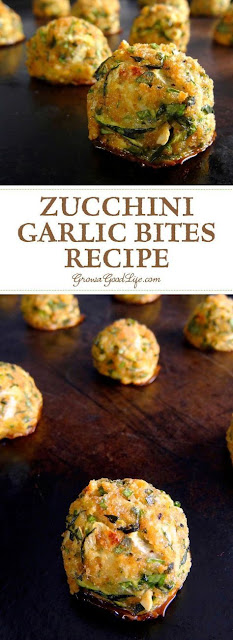 Zucchini Garlic Bites Recipe Yuma S Kitchen