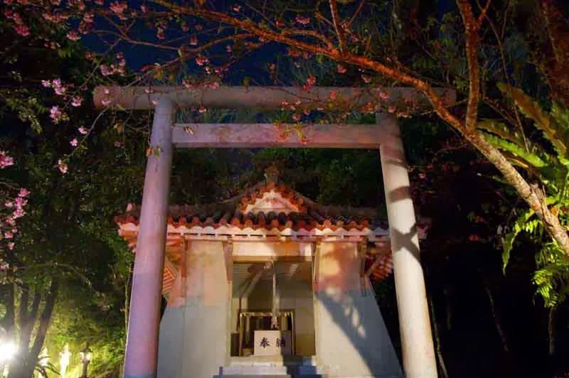 shrine and torii at top of Nago Mountain, night scene