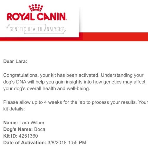 Rubicon Days Potcake Mystery Mix Testing with Royal Canin