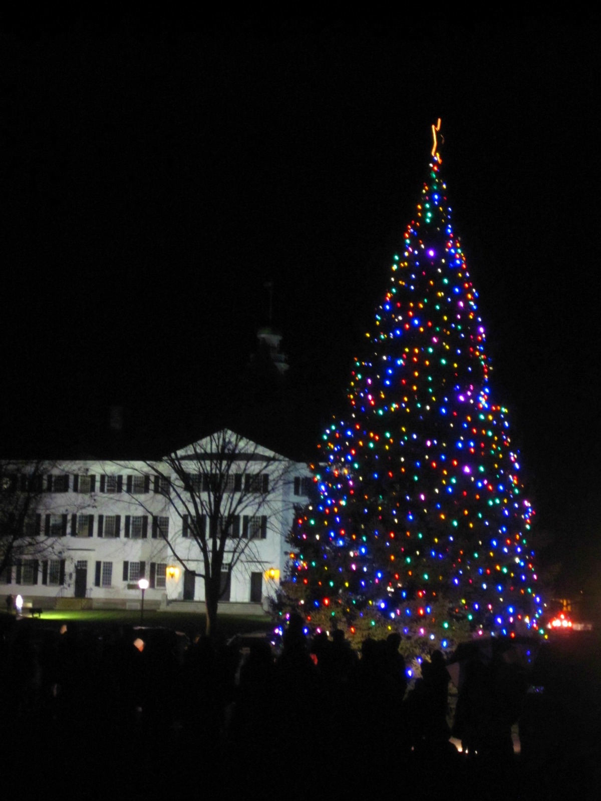 the hawkins family Dartmouth Tree Lighting