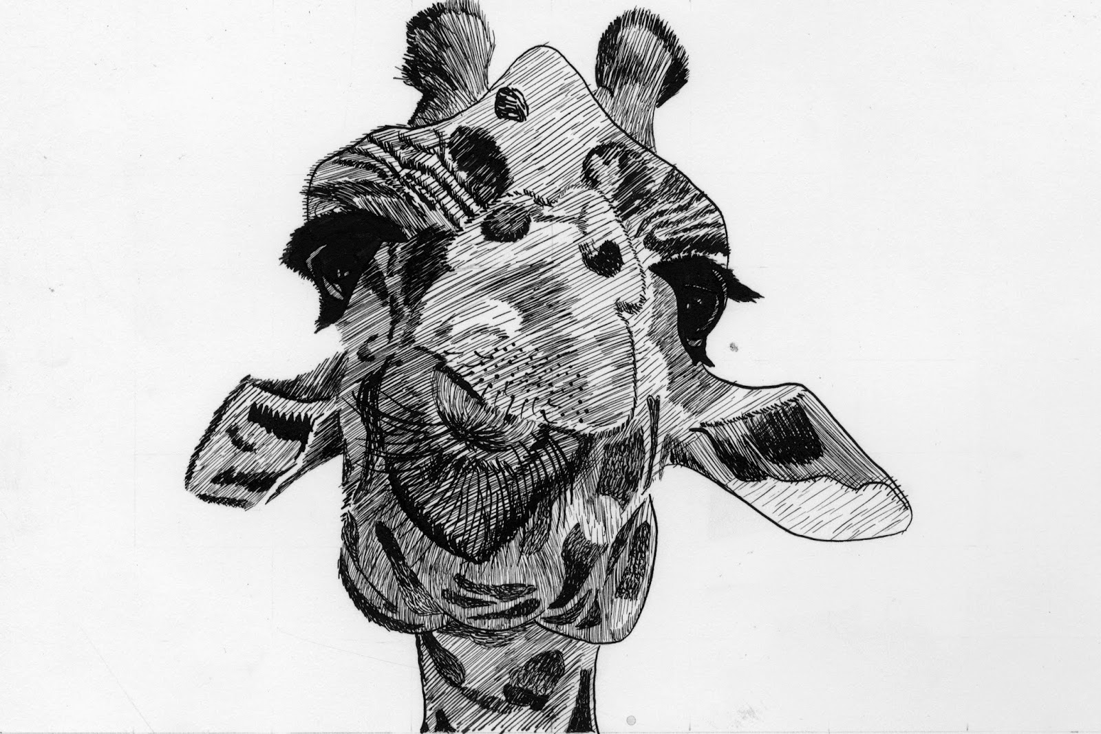 Gretchen Burns: Drawing with Ink Topics Class