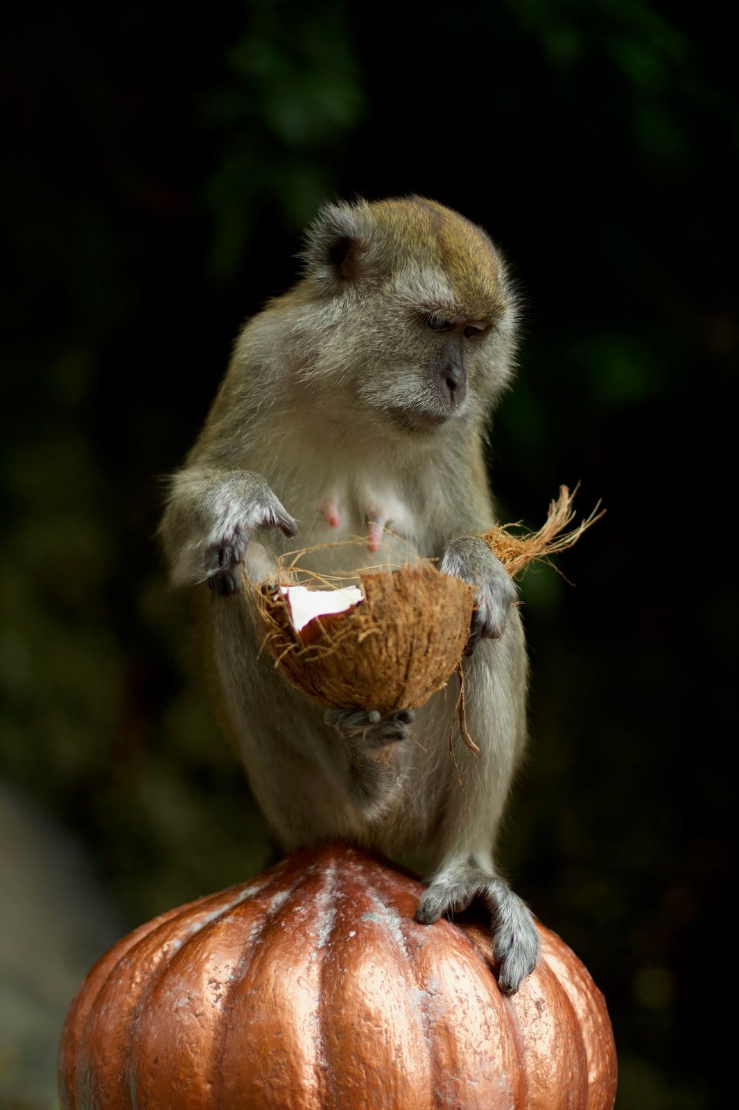 Time Releases Woman Of The Year Covers That Contain The Most