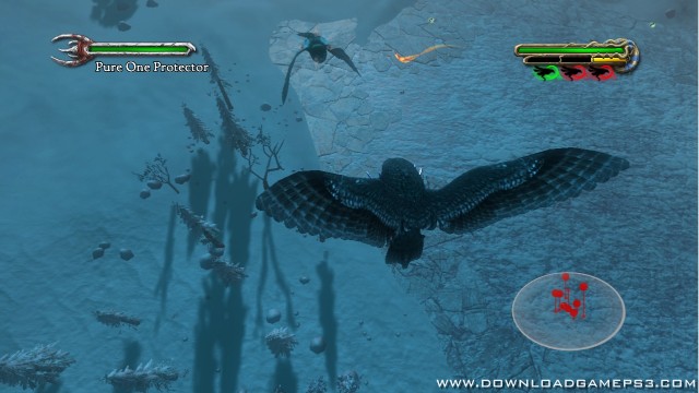 Legend of The Guardians Owls Gahoole   Download game PS3 PS4 PS2 RPCS3 PC free - 36