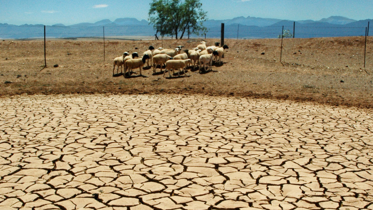 Засуха значение. Зайендеруд Исфахан засуха. Дон засуха. Засуха Саладо Аргентина. Засуха и наводнение.