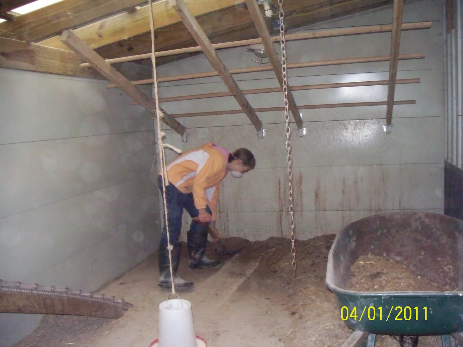 Country Fun Cleaning out the chicken pen