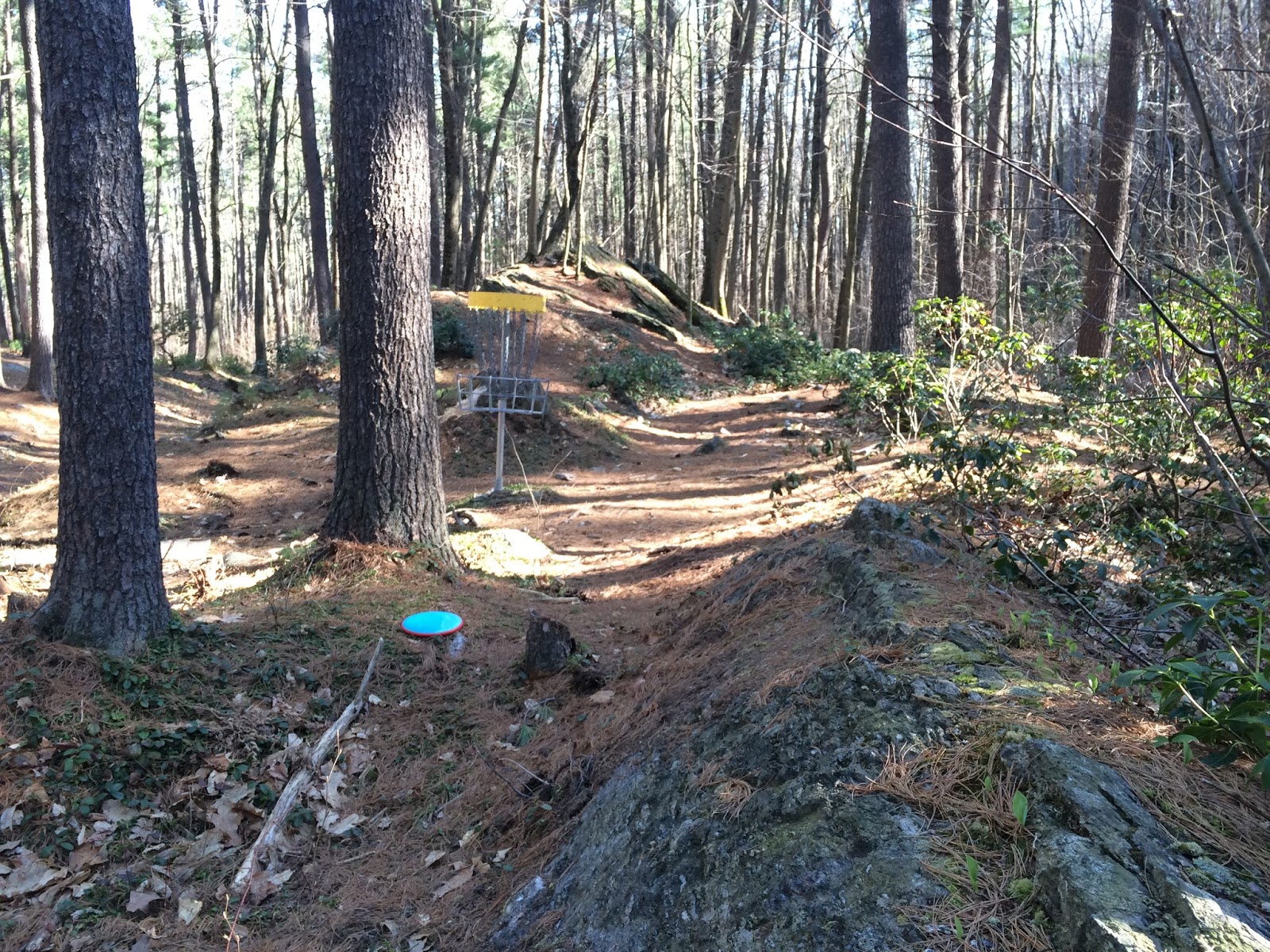 The Geology of Disc Golf Coggshall, Fitchburg MA