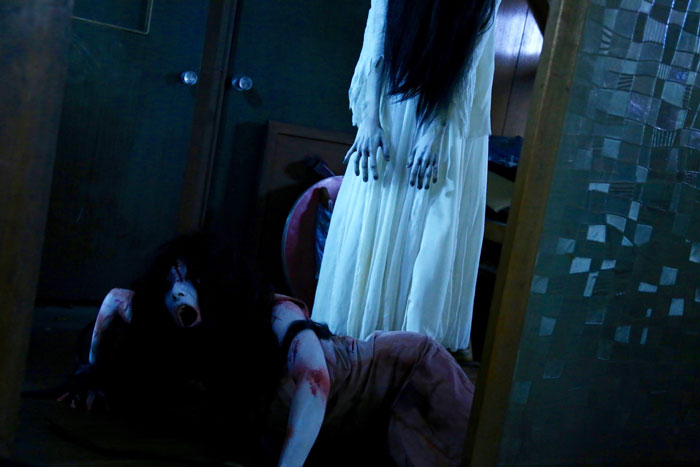 Image result for sadako vs kayako