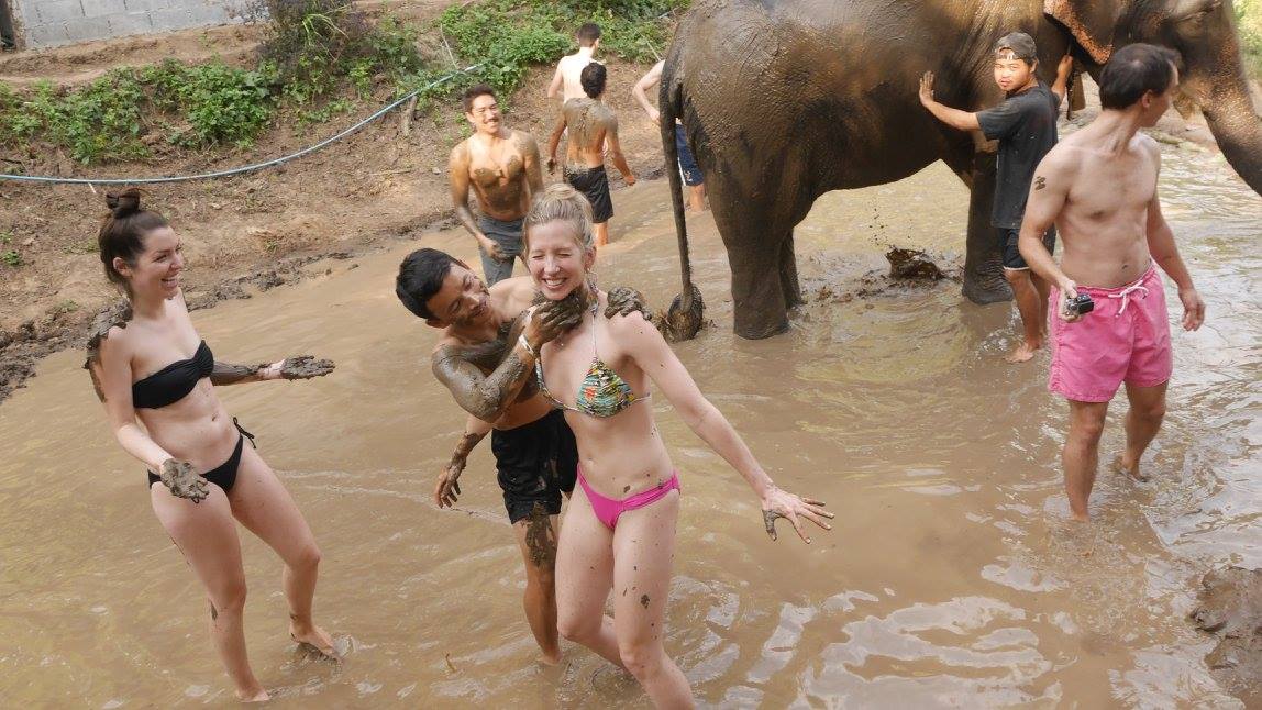 Elephant Jungle Sanctuary | Chiang Mai, Thailand
