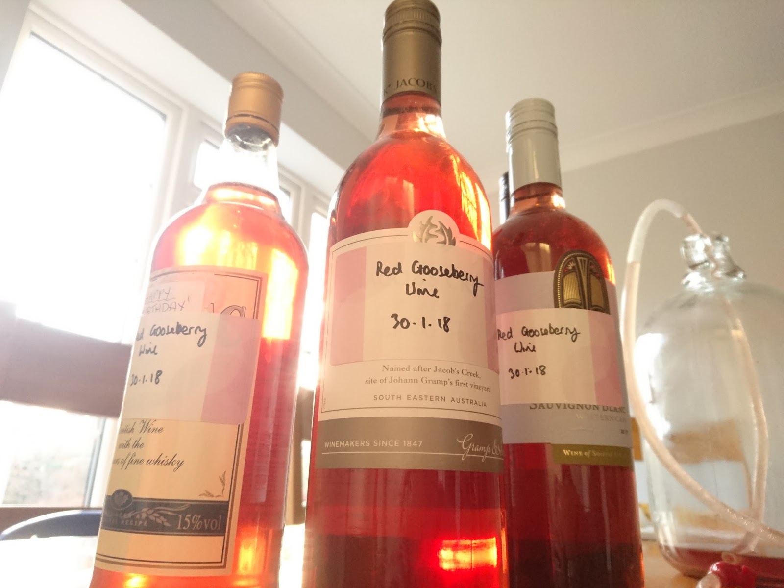 Mummy Wales How To Make Homemade Red Gooseberry Wine