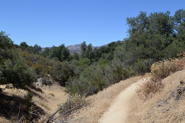 gentle climb on the trail