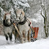 Protéger un cheval du vent, de la neige, et du froid en hiver