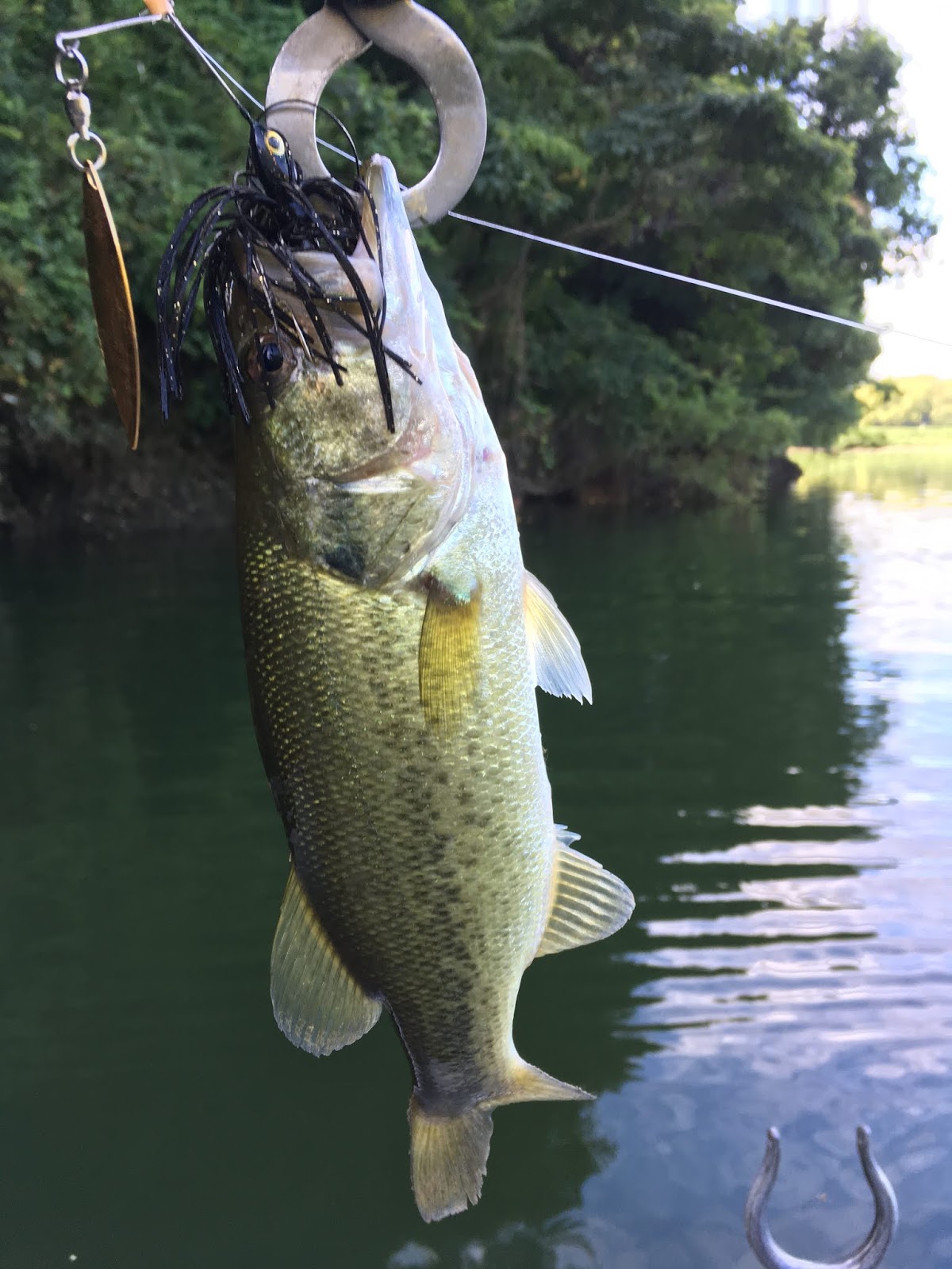 ２号単独桜池釣り紀行２０１８ Naniwano Predators