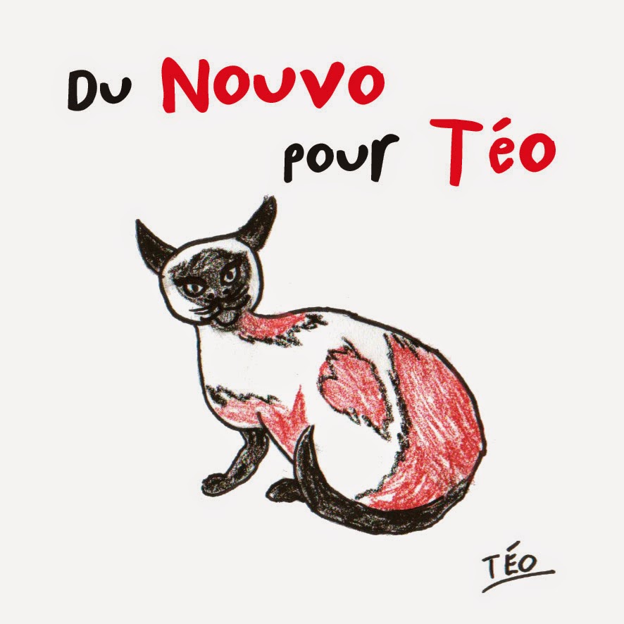 Du Nouvo pour Téo