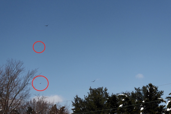 UFO News ~ Two UFO Orbs Following Eagle Recording Its Behavior Over Mountain In New Jersey plus MORE UFO%252C%2Balien%252C%2Bsighting%252C%2BET%252C%2Bnews%252C%2B