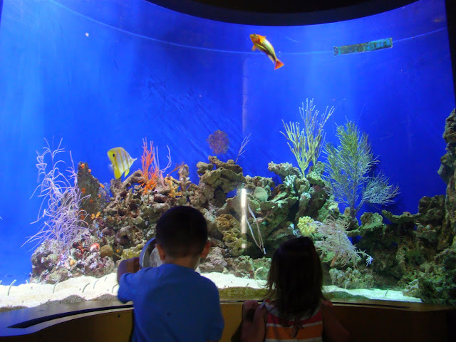 (c) https://balancingthechaos.com