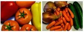 Variety of different vegetables.