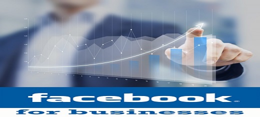 Como utilizar Facebook Business manager