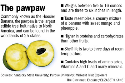 Laurel Ridge Farm: Paw Paws
