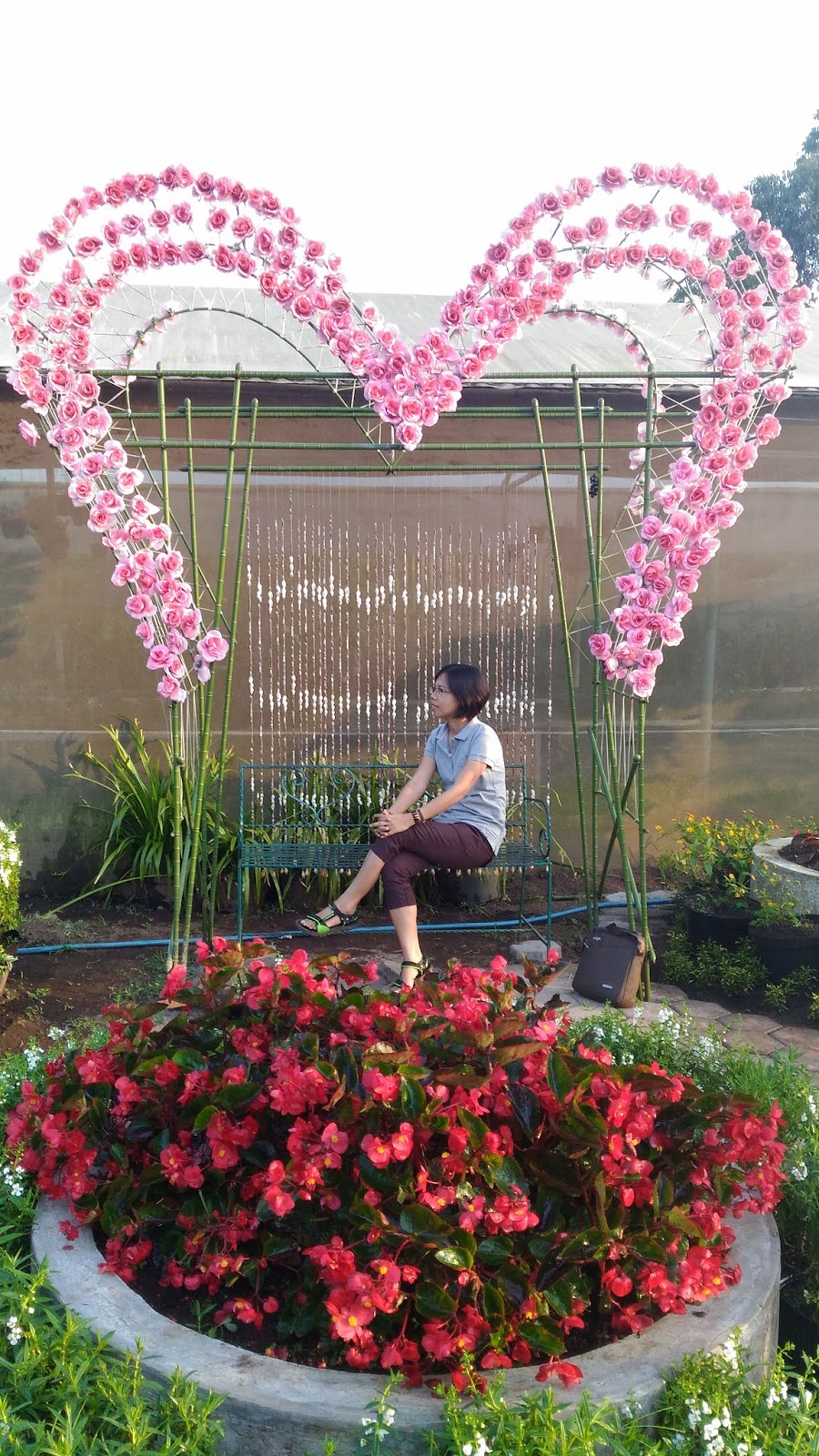 Catatan sederhana Wisata Bunga  di Taman  Begonia  Lembang 