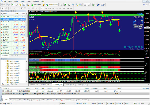 Forex success network