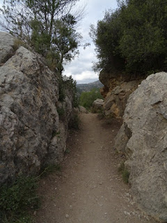 Tramo previo al puente del barranco de la Cueva del Gato