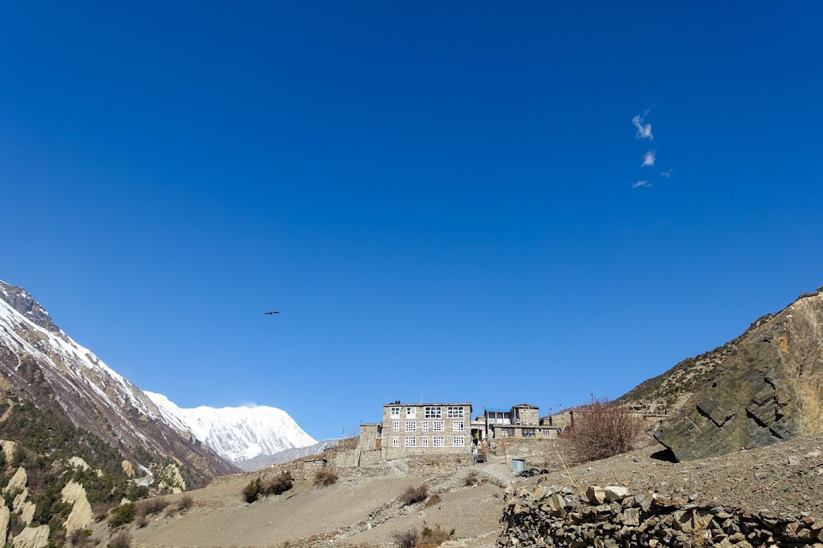 200км по красно-белым черточкам.. Around Annapurna. март-апрель 2017