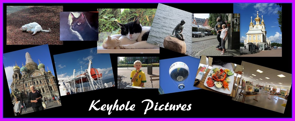KEYHOLE PICTURES 