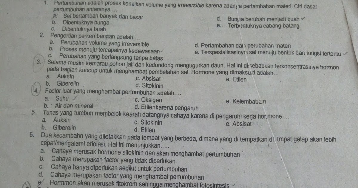 Contoh Soal Biologi Unbk 2018 Soal Kelasmu