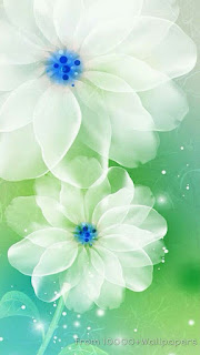 flores-de-petalos-blancos
