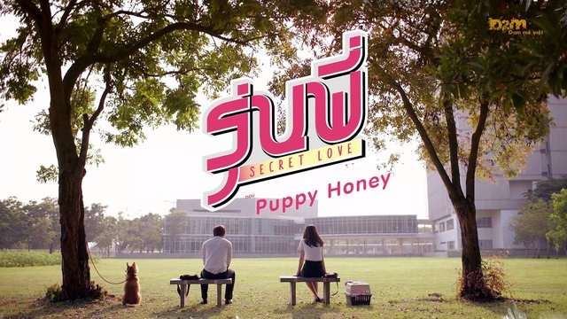 Người Tình Cún Con, Secret Love: Puppy Honey