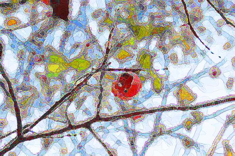 화순 계당산 쌍봉사