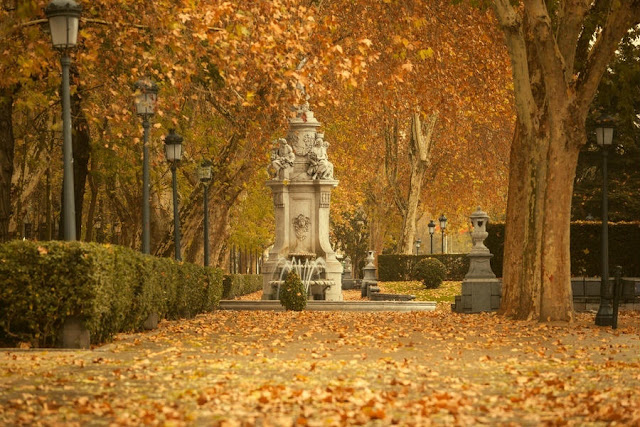 Parque del Retiro (Madrid)