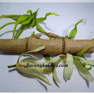 pring petuk asli, pring petuk patil lele, harga pring petuk 2015, cara menggunakan bambu petuk, cara mencari bambu petuk, ciri ciri pring petuk asli, pembeli bambu petuk, cara merawat pring petuk, mustika bambu petuk, mustika bertuah, barang bertuah, barang koleksi, koleksi mustika, pusaka bertuah, pusaka mistik, koleksi mistik, azimat mistik, ajian bertuah, ajian mantra, mantra ampuh, mantra sakti, mantra bertuah, pring petuk asli harga murah