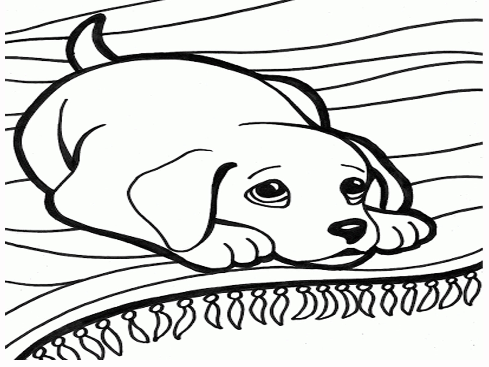 Dog Cartoon And Coloring Pages