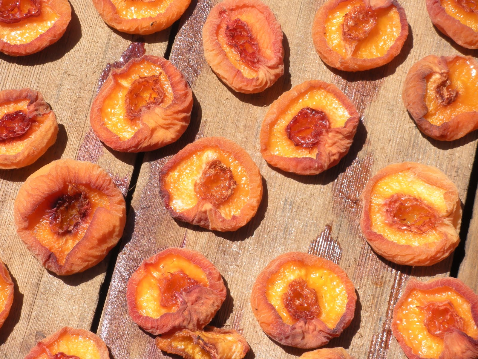 Our Journey into ValueAdded Orchard Products Sun Drying the Fruit