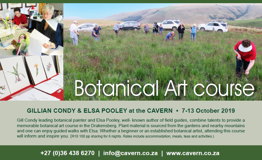 Botanical Artists Association of Southern Africa January 2019
