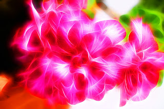 Luz with Spektrel Art ex Long lines