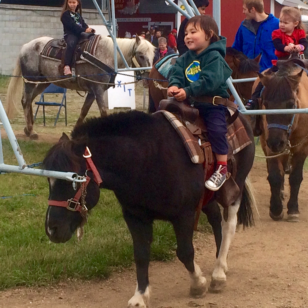 Alexander Anujak AK State Fair Ride em Cowtoddler  alexander-anujak-ak-state-fair-ride-em-cowtoddler