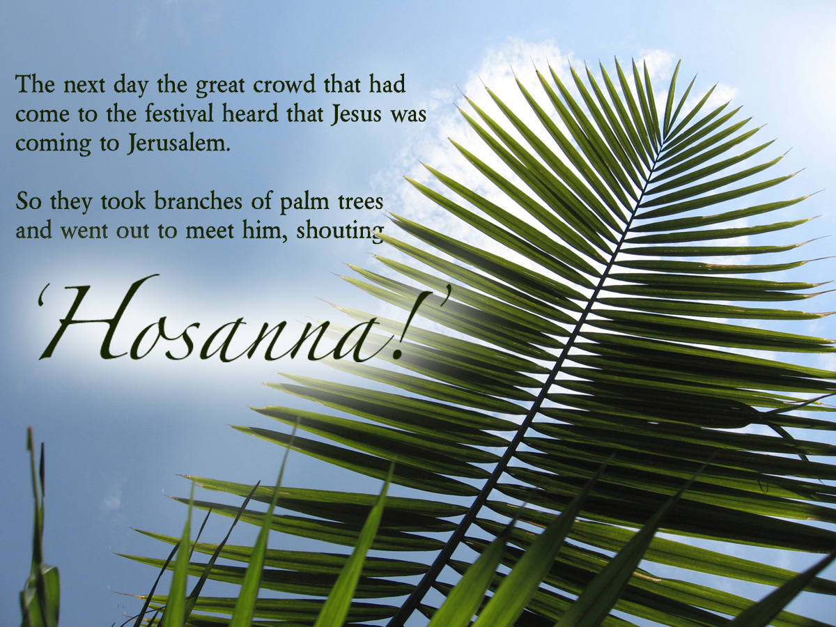 free christian clipart palm sunday - photo #45