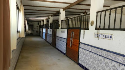 DISEÑO DE ESTABLOS PARA CABALLOS (PARTE 2)
