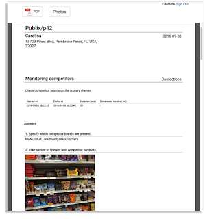 reporting for retail audits and merchandising