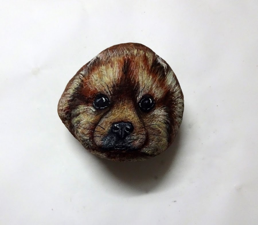 COMO PINTAR PIEDRAS CON RAZA POMERANIA PASO A PASO #pintarpiedras